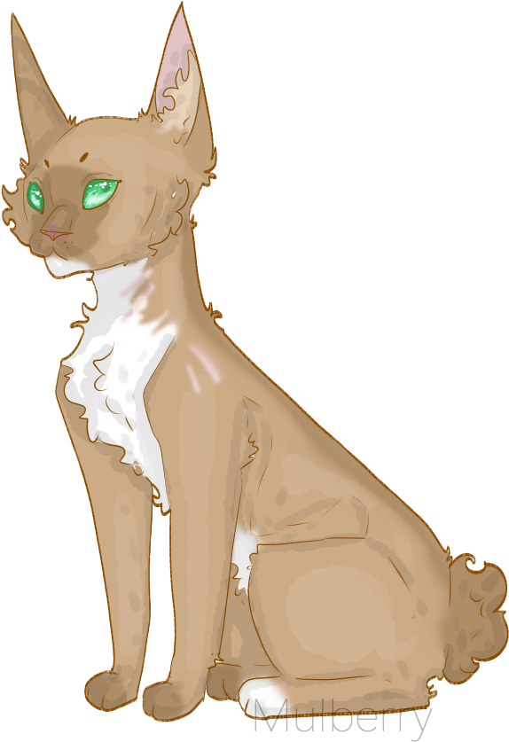 Lynx Curl By Mulberry - Cat Yawns (704x884), Png Download