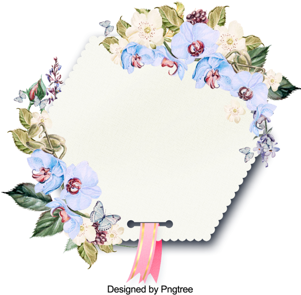 Mein Aloha Dschungel-vogel-garten Rundes Kissen (640x640), Png Download