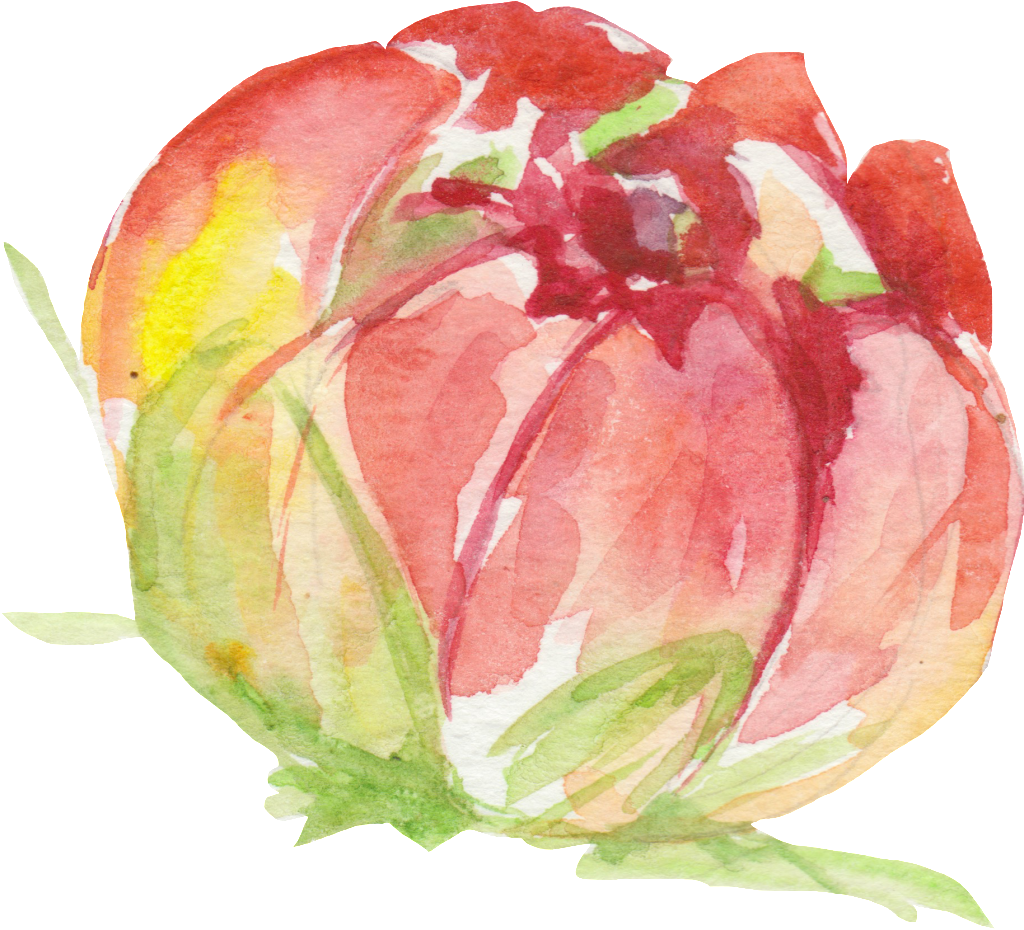 In Early Puberty Flowers Transparent Decorative - Flower (1024x930), Png Download