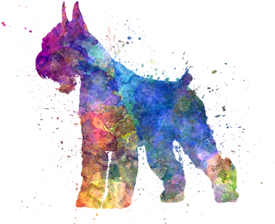 Click And Drag To Re-position The Image, If Desired - Schnauzer T Shirt (600x480), Png Download