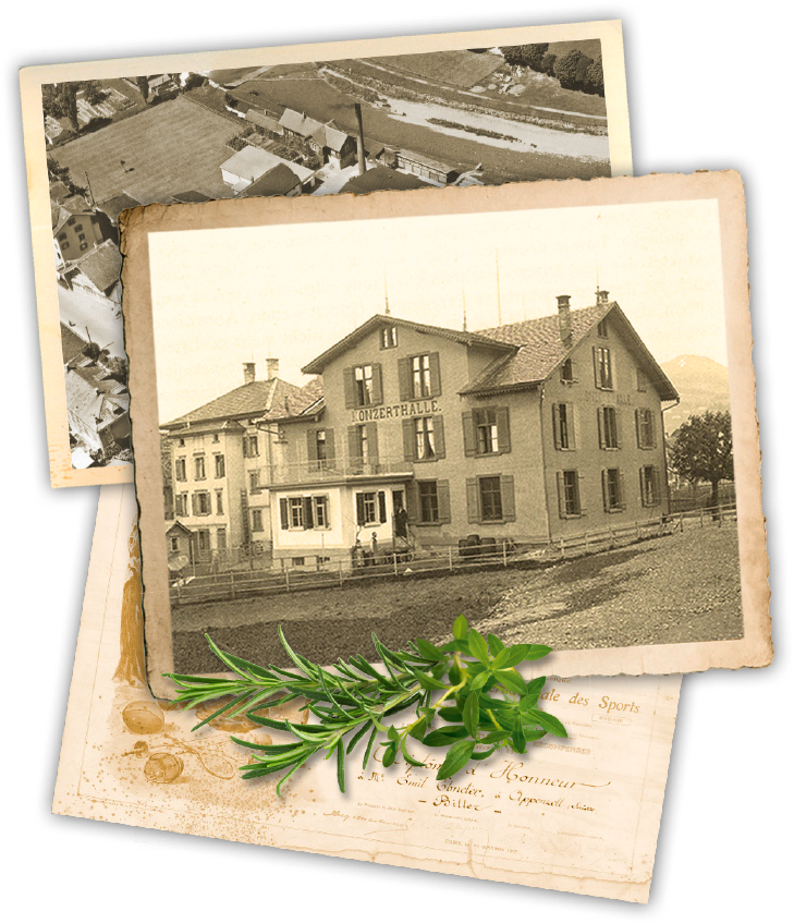 Bild1 Bild2 Bild-mobile - History (762x940), Png Download