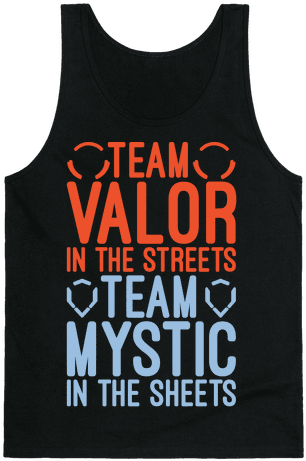 Team Valor In The Streets Team Mystic In The Sheets - Forget Glass Slippers This Princess Wears Sneakers (484x484), Png Download