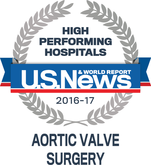 Usnwr High Performance Hospital 2016-2017 - Us News And World Report Ad High Performing (494x537), Png Download