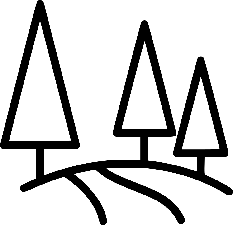 Forest Tree Road Mountain Nature Comments - Portable Network Graphics (981x945), Png Download