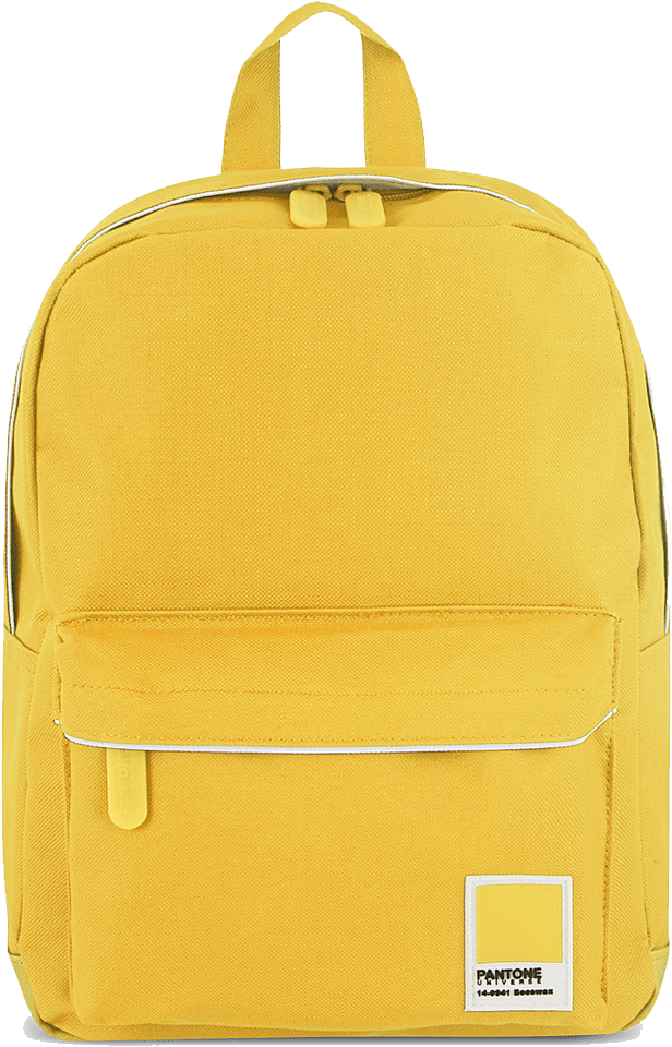 Pantone Mini Backpack - Redland + Pantone Mini Backpack (1020x1129), Png Download