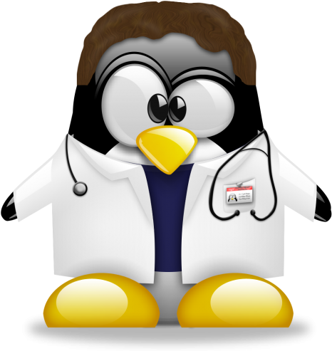 Compiling And Installing Linux Kernel From Source - Caricatura Imagenes De Pinguinos (500x500), Png Download