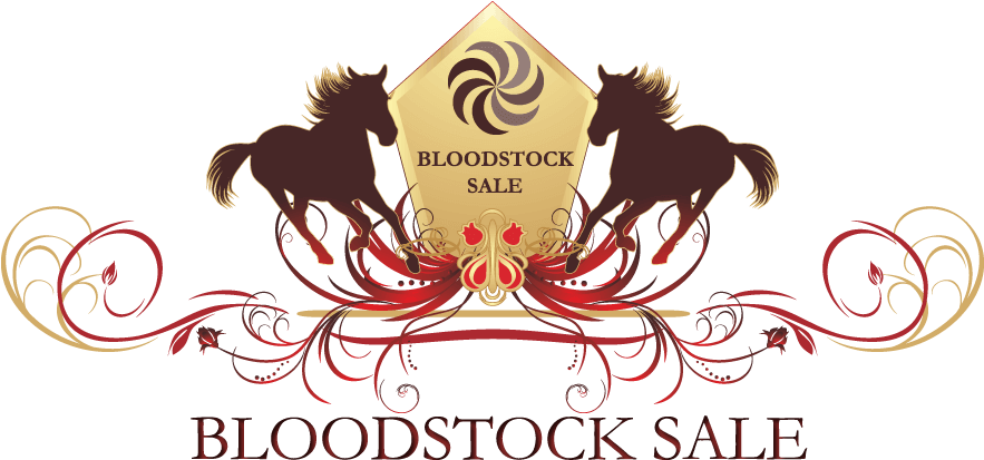 The Bloodstock Sale, Northlands, Edmonton - Graphic Design (891x417), Png Download