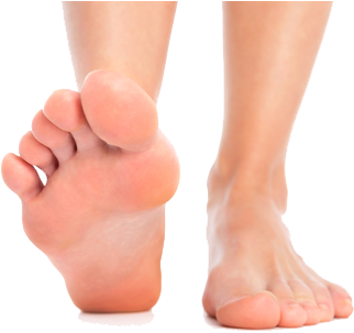 Graphic Freeuse Download Feet Png For Free Download - Healthy Feet (500x334), Png Download