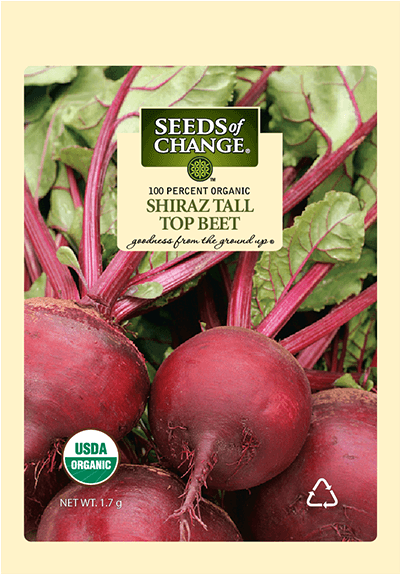 Organic Shiraz Tall Top Beet Seeds - Seeds Of Change 21076 Organic Zesty Cln Quinoa Blend (573x573), Png Download
