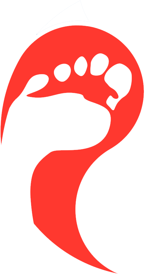 Triokc Foot - Foot (602x997), Png Download