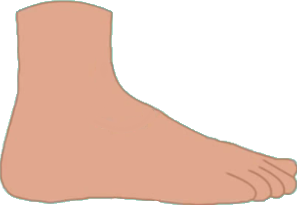 Foot Iocn - Bfdi Foot (608x420), Png Download
