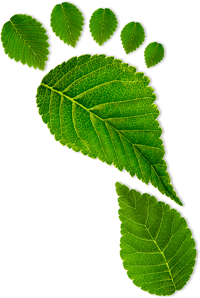Green Initiatives - Detox Foot Pads - 100 Pads = 50 Day Supply By Organicguru (404x600), Png Download