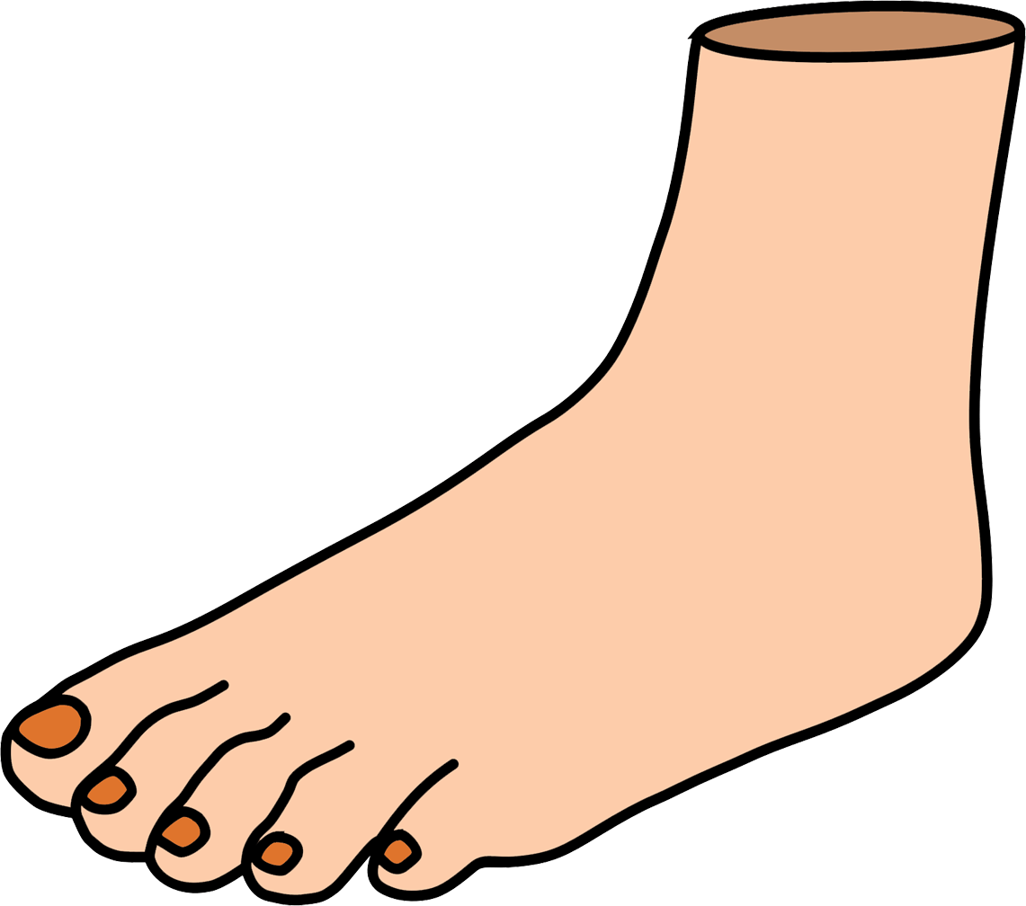 Measure Your Feet Day - Chicken Feet Clip Art (1141x1008), Png Download
