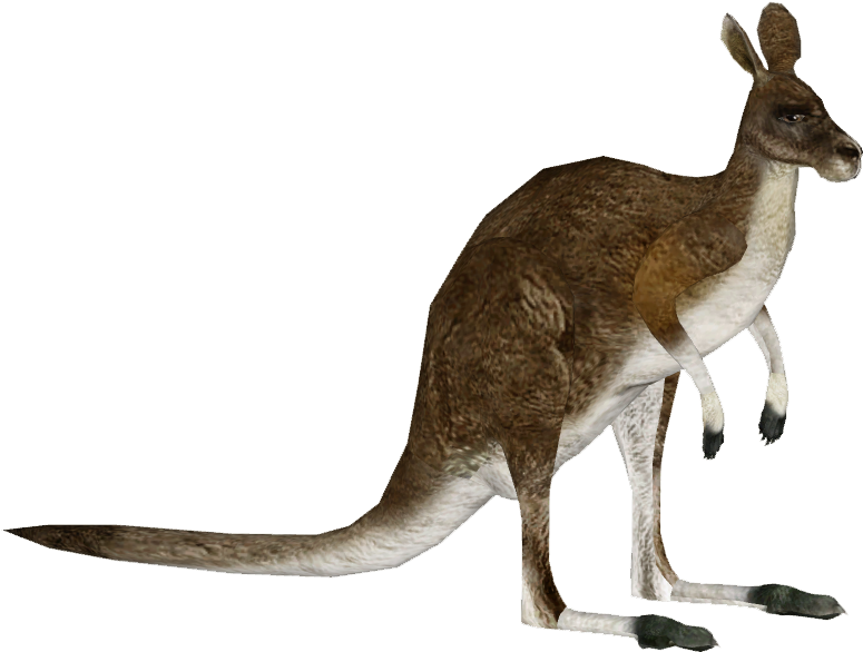 Giant Kangaroo F1 - Kangaroo (774x774), Png Download