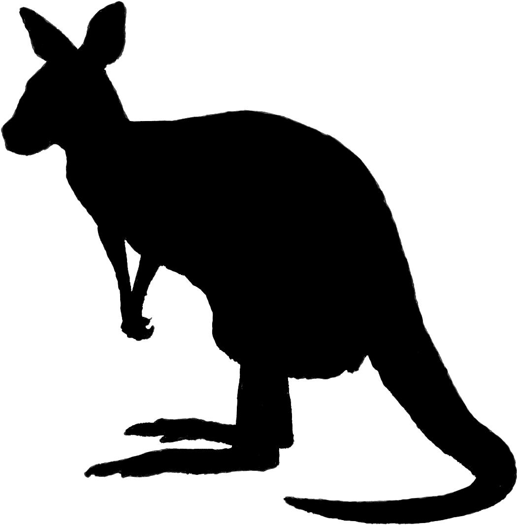 Kangaroo Silhouette Png Image - Kangaroo Silhouette (1122x1150), Png Download