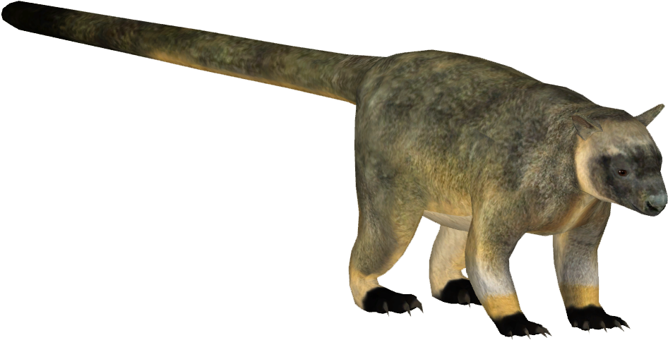 Lumholtzstreekangaroo Tamara Henson - Cat Jumps (945x945), Png Download