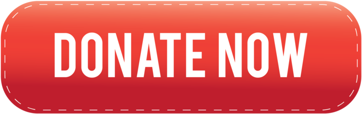 Donate Png Image - Portable Network Graphics (1000x396), Png Download