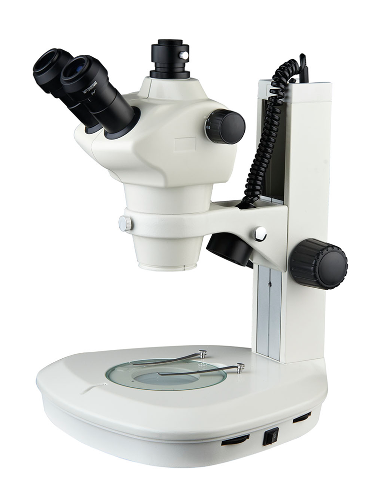 Digital Camera Trinocular Zoom Stereoscopic Microscope - Microscope (1000x1000), Png Download