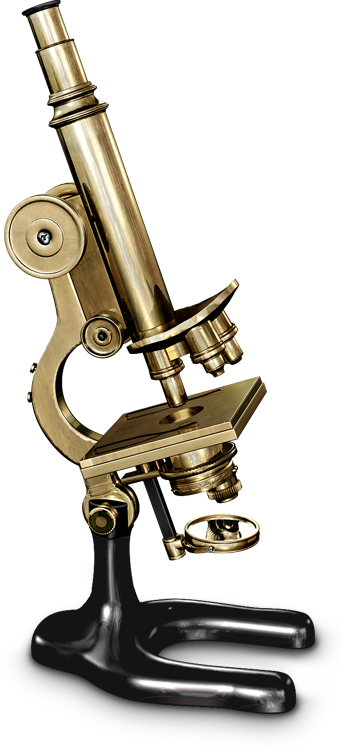 First Microscope In The World (341x750), Png Download