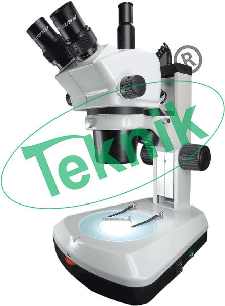Microscope Equipment - Binocular Stereo Zoom Microscope (800x800), Png Download