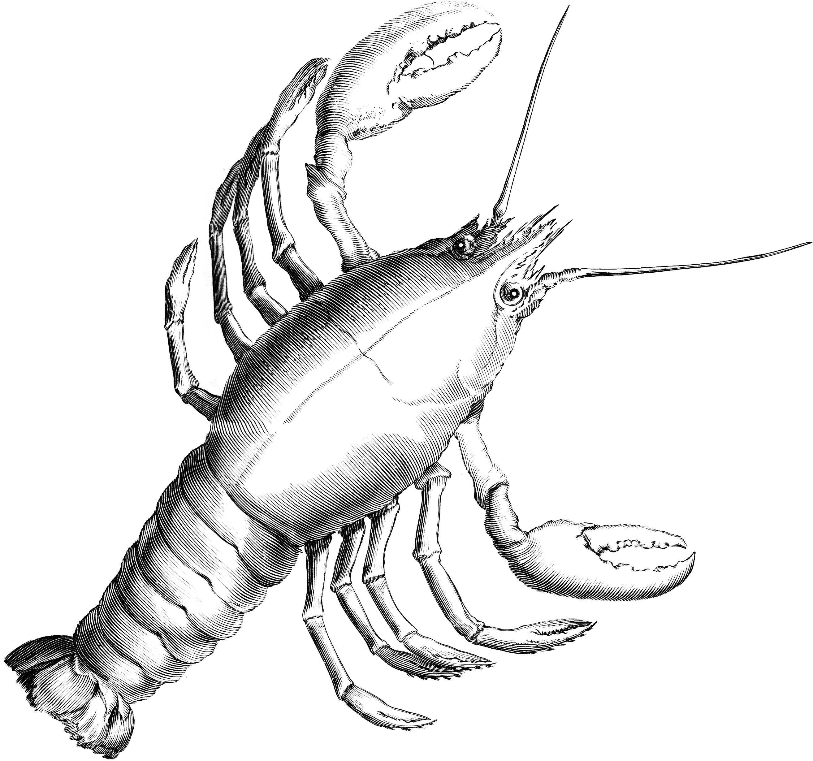 Cancer - Cancer Constellation (2658x2500), Png Download