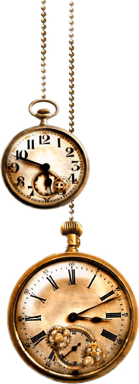 Relogio De Bolso Png (480x1325), Png Download