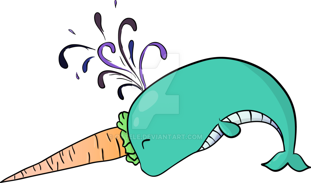 Clip Art Transparent Download Narwhal Clipart Llama - Drawing (1024x603), Png Download