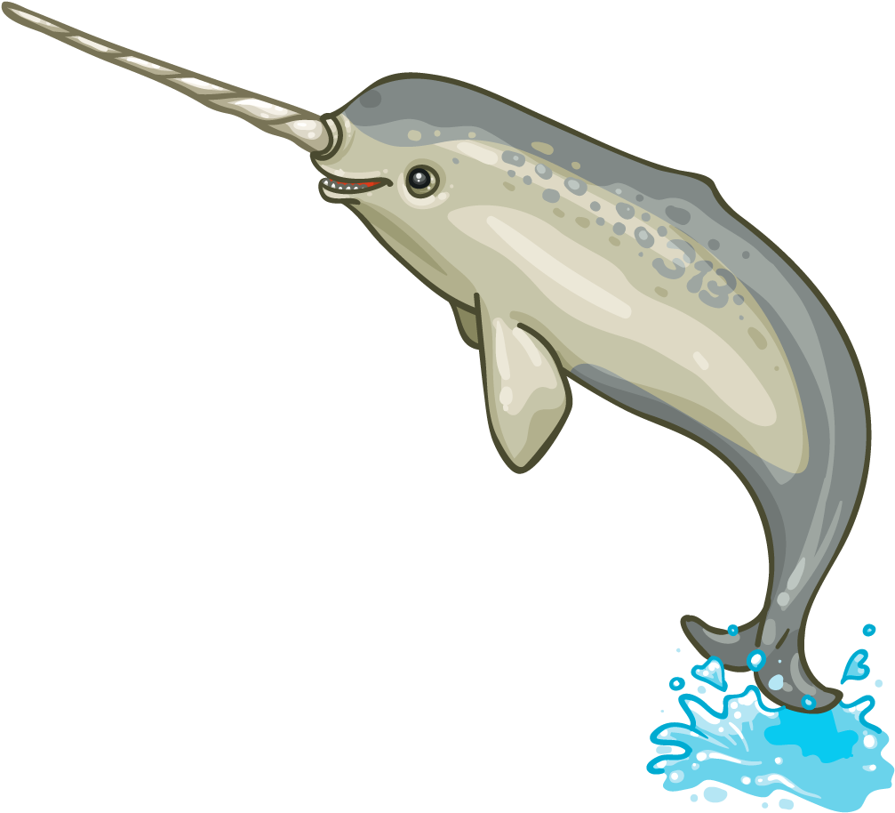 Norman The Narwhal - Narwhal (1024x1024), Png Download