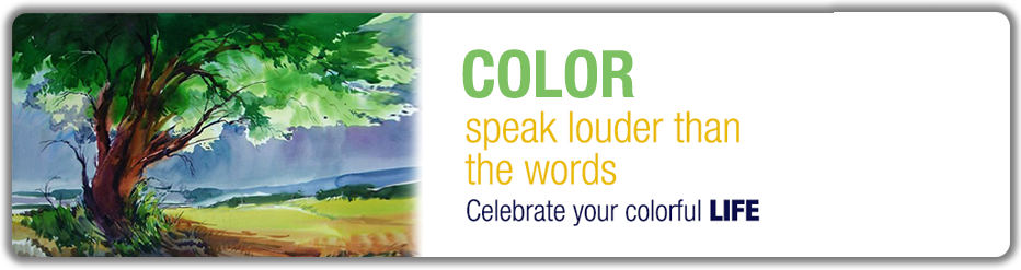 Color (932x247), Png Download