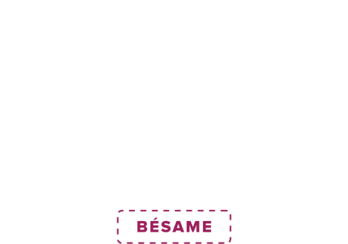 Bigote Bozo 12 Apr 2018 - Graphic Design (500x500), Png Download