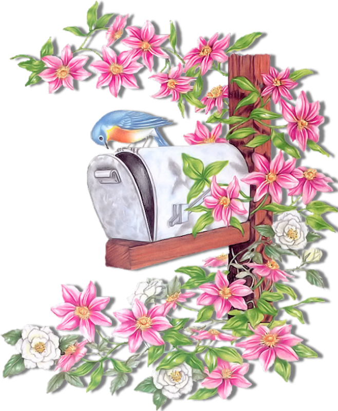 Gardening Clipart Watercolor - Clip Art (658x800), Png Download