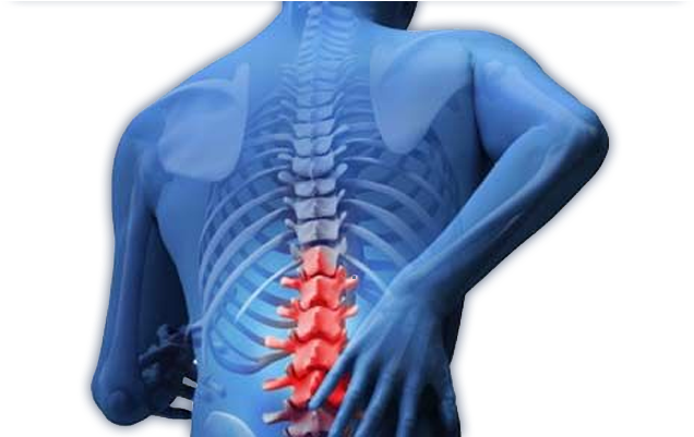 Lasting Pain Solutions - Back Pain In A Day (1100x400), Png Download