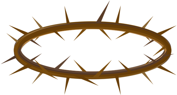 Corona Spine Png - Crown Of Thorns (720x720), Png Download