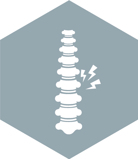 Cervical Myelopathy - Vertebral Column Icon Png (473x546), Png Download