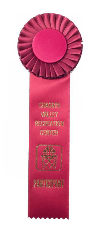 116s Custom Award Rosetterosettesrs 116s 955 - Medium-large Blank Ribbon Award Rosette - 13in Long (800x800), Png Download