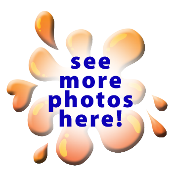 We Also Proudly Offer (354x356), Png Download