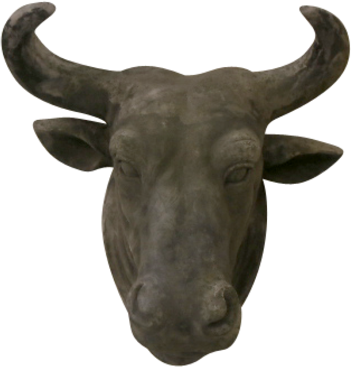 Decorative Hanging Bull Head - Bull (800x800), Png Download