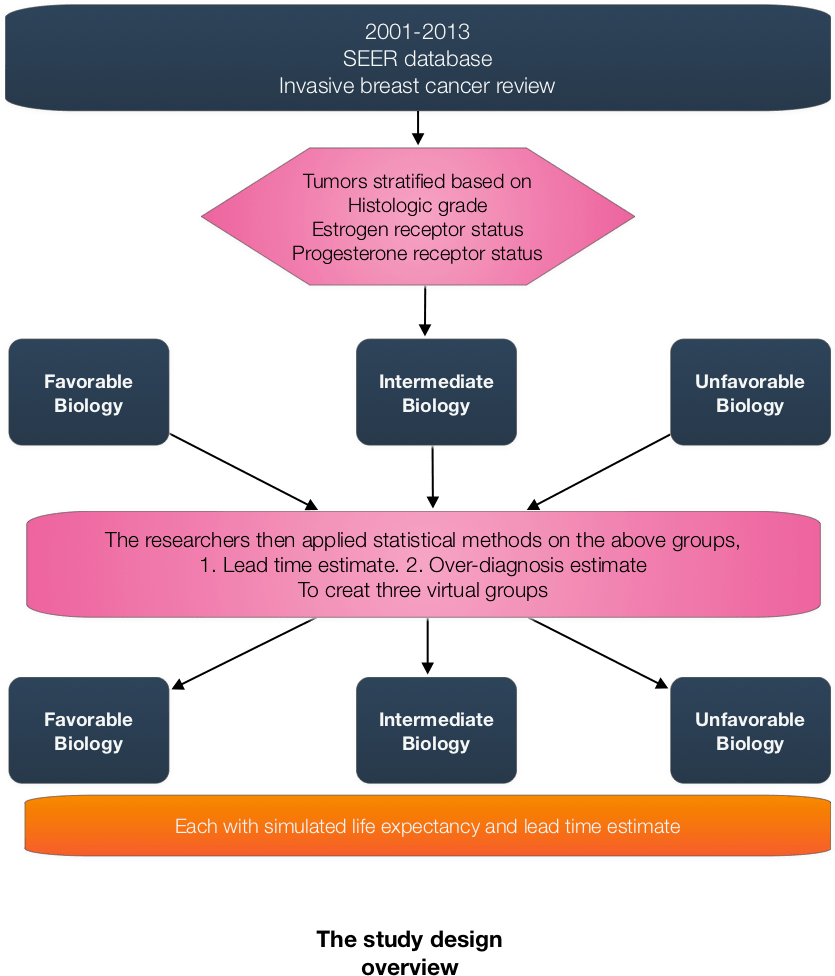 Patients Were Divided Into Three Prognostic Groups - Diagram (1024x1024), Png Download