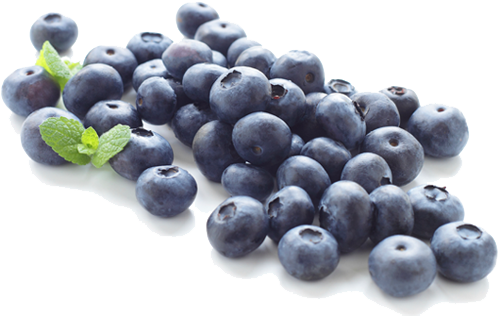 Clip Black And White Stock Blueberry Png Images Transparent - Blue Berry Png (500x316), Png Download