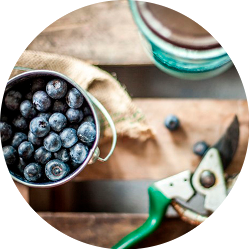 Berryco Our Story Circle - Portable Network Graphics (500x500), Png Download