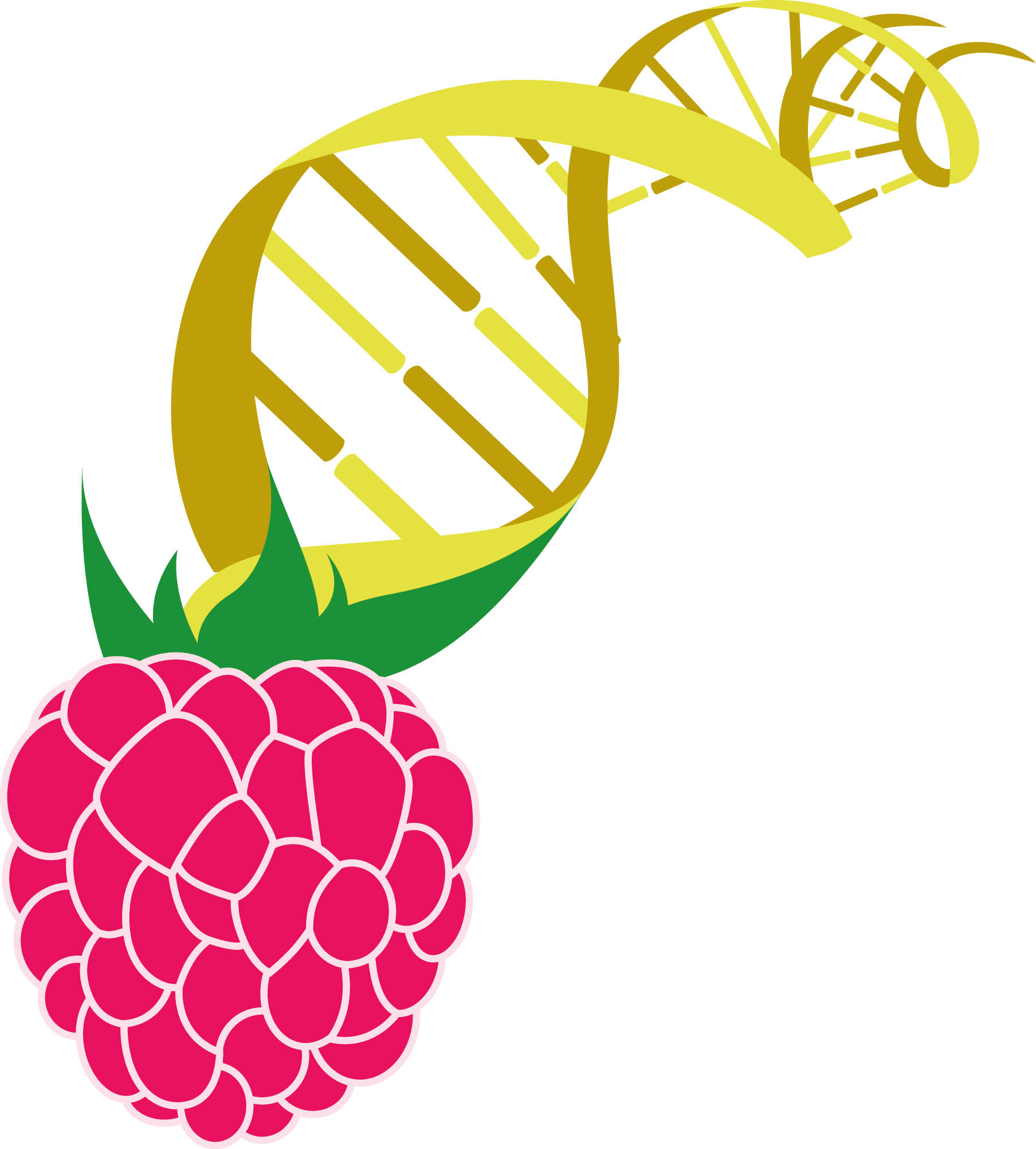 Plants Synthesize A Staggering Variety Of Secondary - Logo Berry (1808x2004), Png Download
