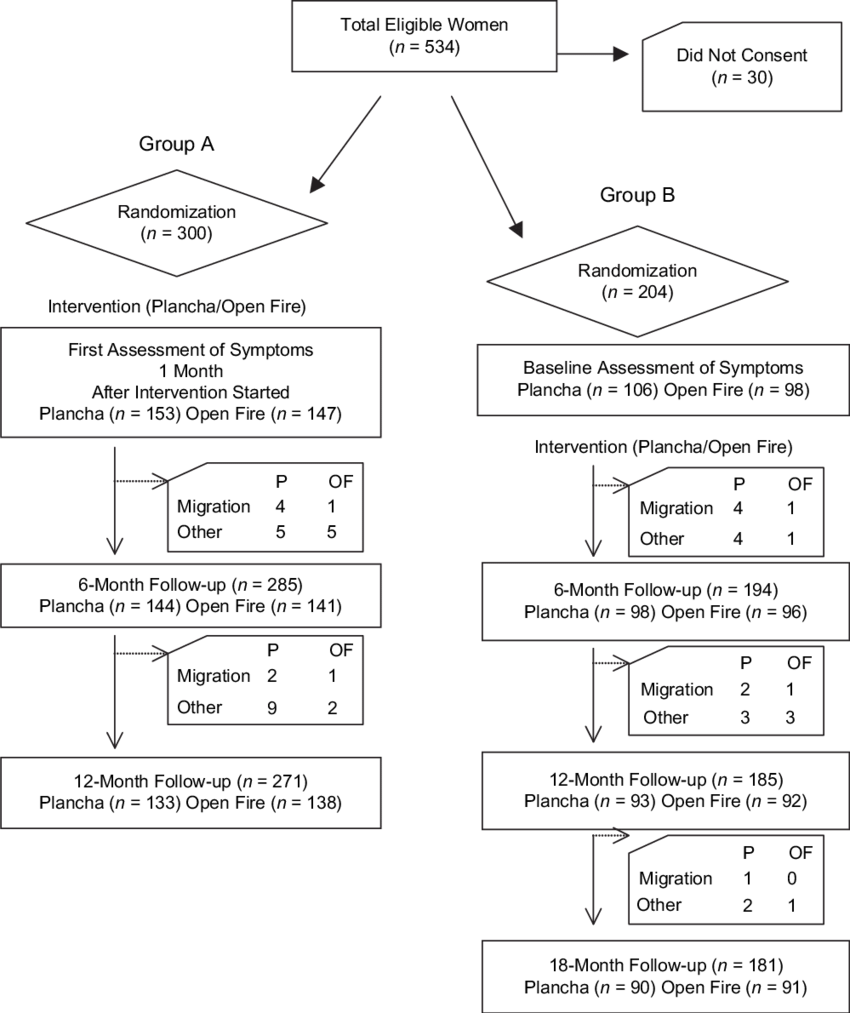 Distribution Of The Study Population From Baseline - Diagram (850x1013), Png Download