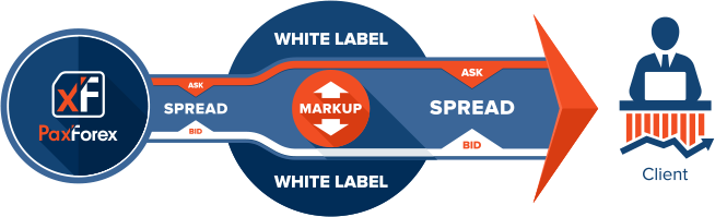 Forex White Label Solutions - Forex White Label Infographic (654x199), Png Download