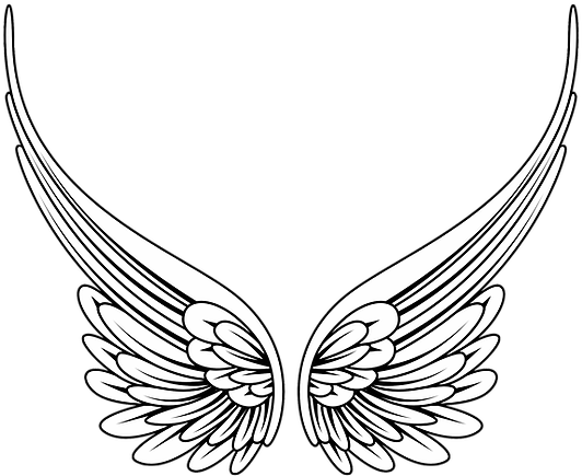 Shekinaspeaks In The Blue Ray Transmissions For The - Angel Wing Clipart Png (556x443), Png Download