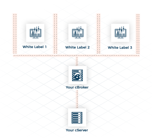 The Access Rights Afforded To Their White Label Partners - Slope (633x573), Png Download