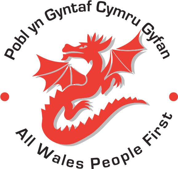 All Wales People First - Black Dragon Queen Duvet (600x600), Png Download