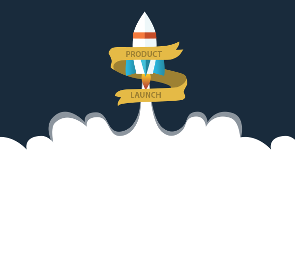 We Provide A Professional Service On Product Launch - Launch A Software Product (600x568), Png Download