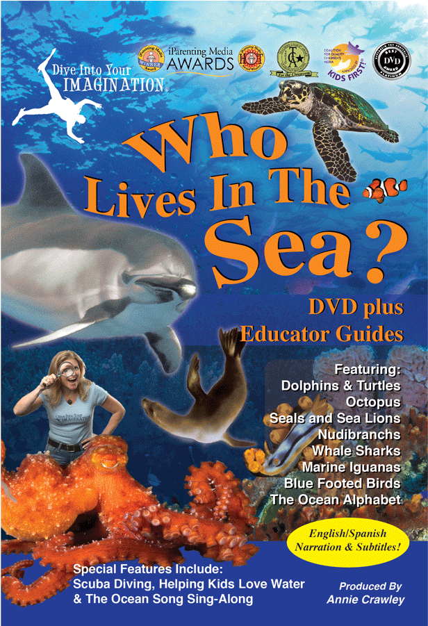 Who Lives In The Sea Dvd - Great White Shark (900x900), Png Download