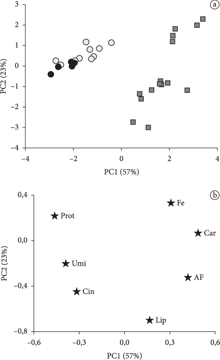 Gráficos De A) Scores E B) Loadings - Scientific Diagram (730x1192), Png Download
