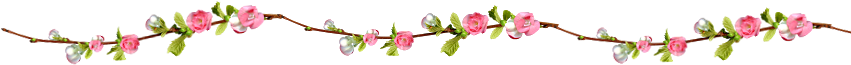 Flores Em Png - Margem De Flor Png (850x315), Png Download